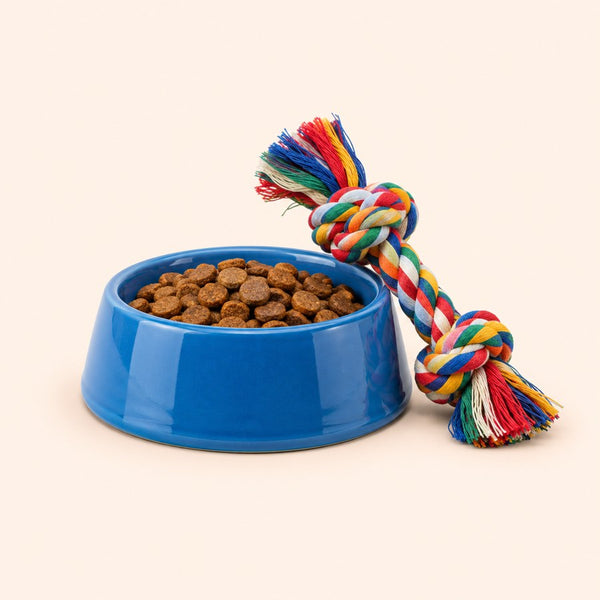 Pet Supplies